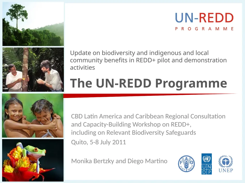 Update on biodiversity and indigenous and local - slide 1 of 21