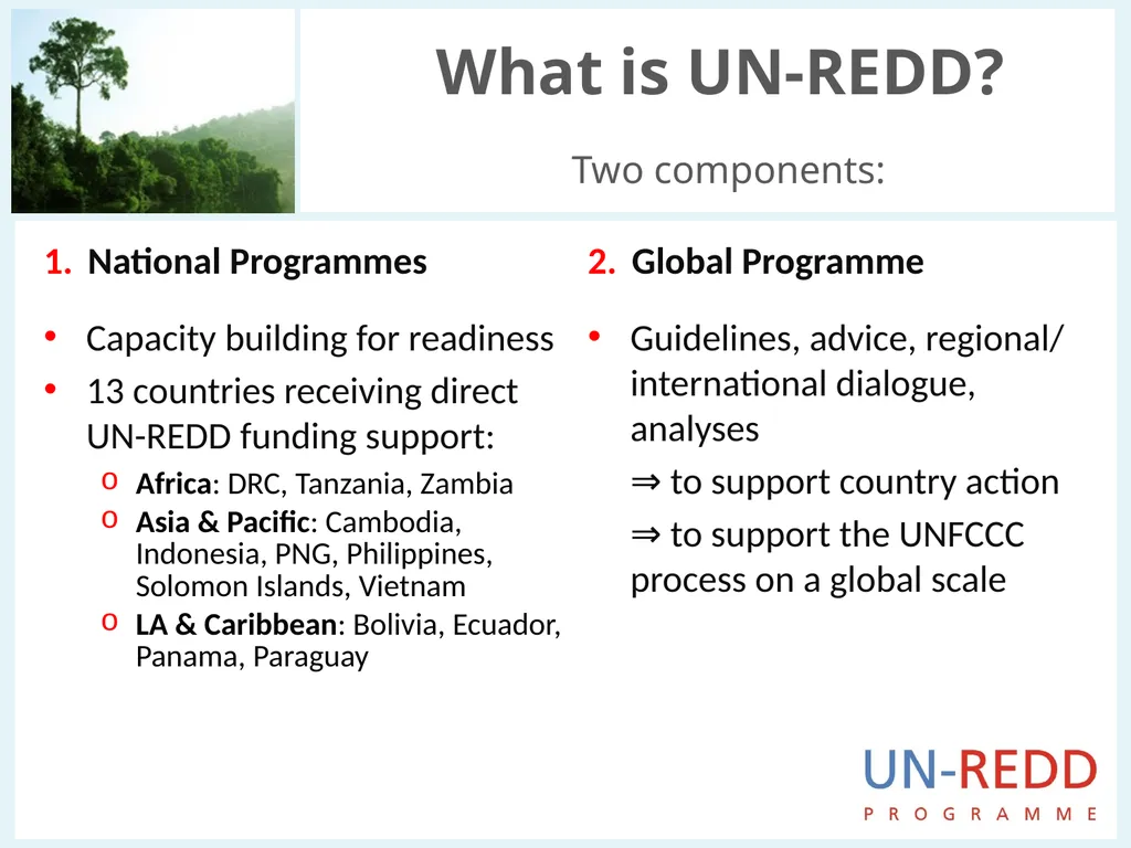 Update on biodiversity and indigenous and local - slide 3 of 21