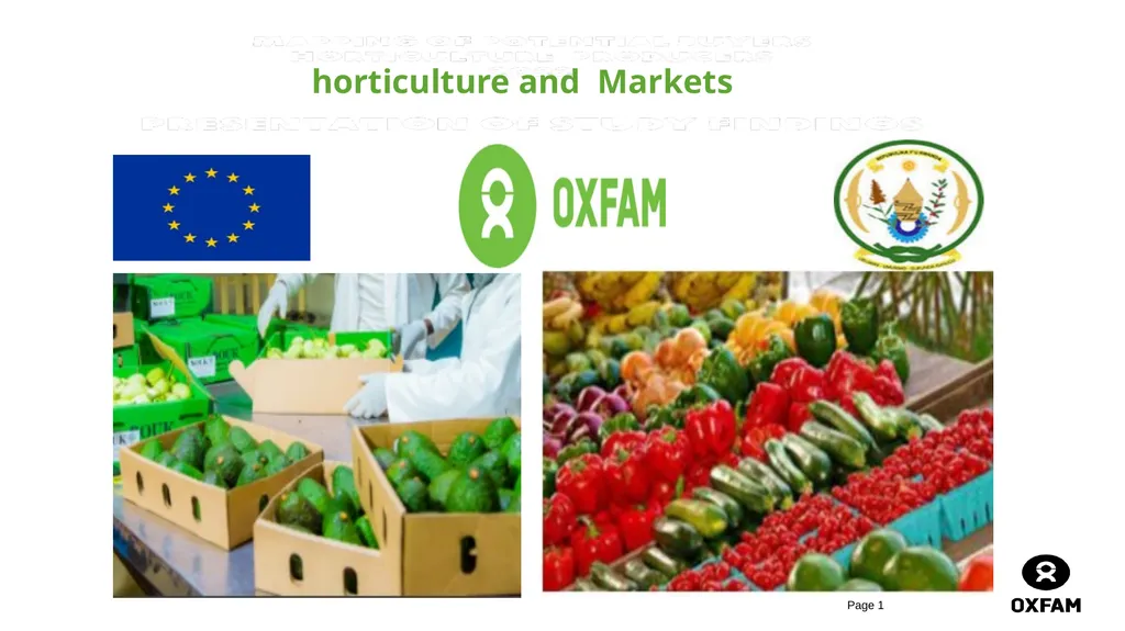 horticulture and Markets Background, Study - slide 1 of 21
