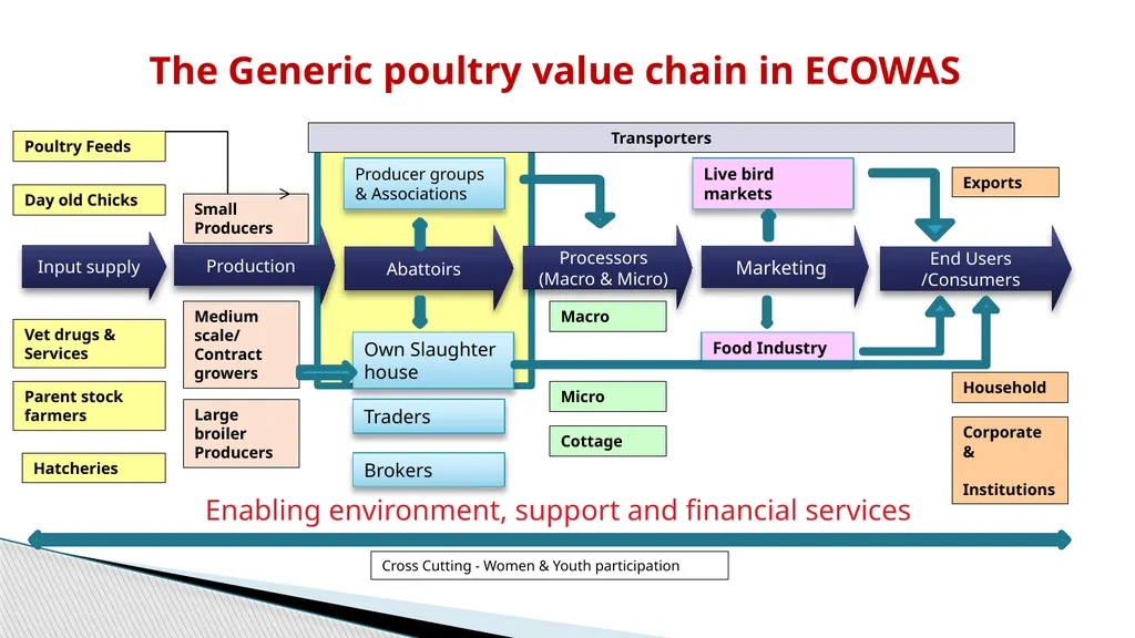 Writeshop for a harmonized poultry regional - slide 21 of 24