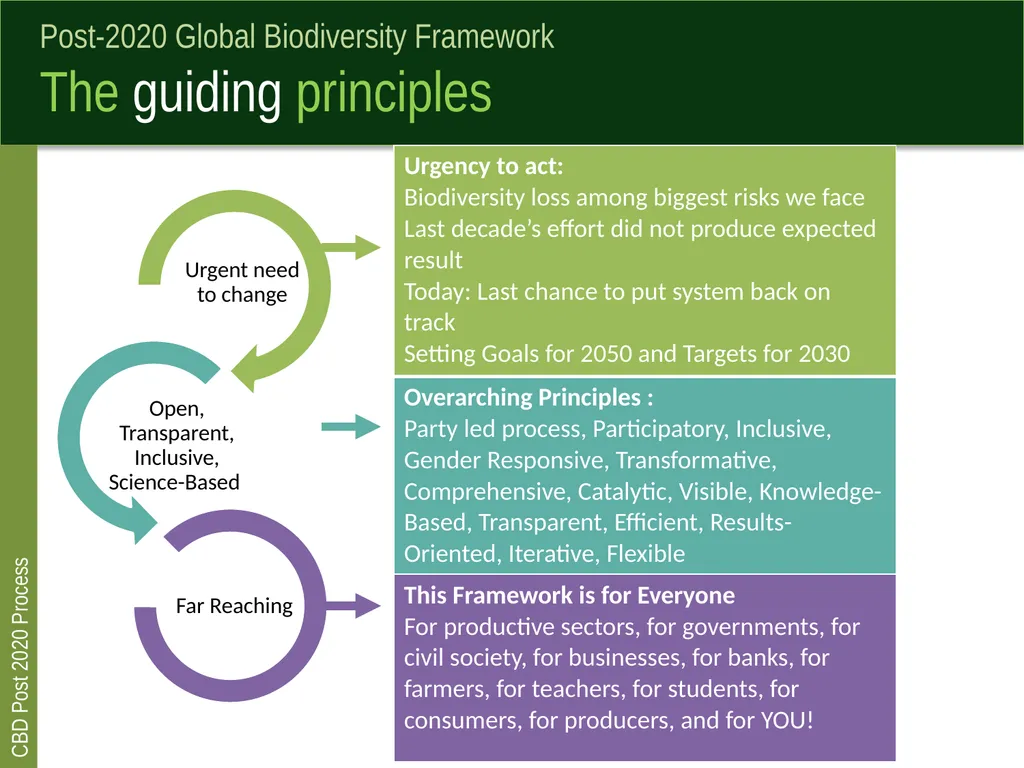 Post 2020 global biodiversity framework process - slide 3 of 8