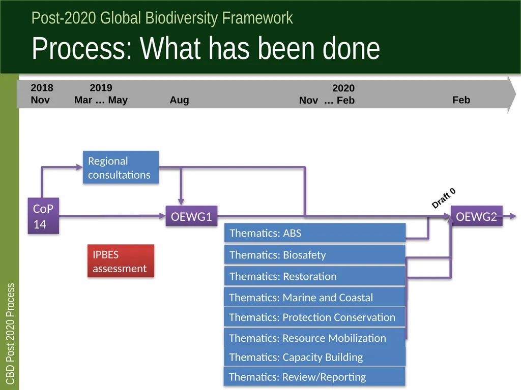 Post 2020 global biodiversity framework process - slide 4 of 8