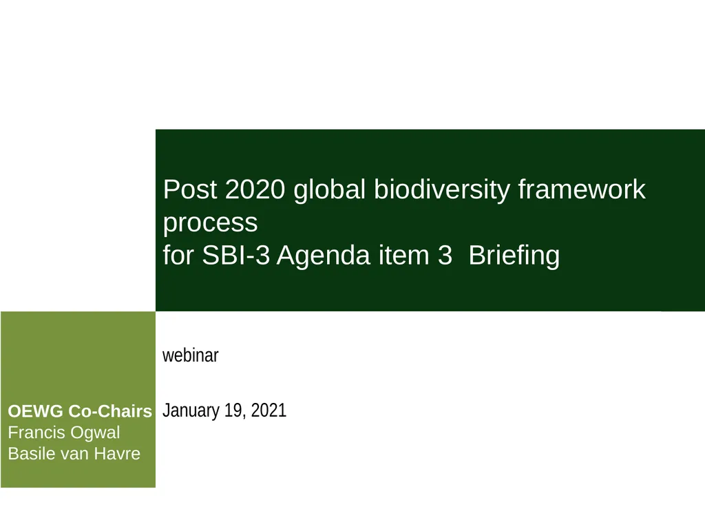 Post 2020 global biodiversity framework process - slide 1 of 8