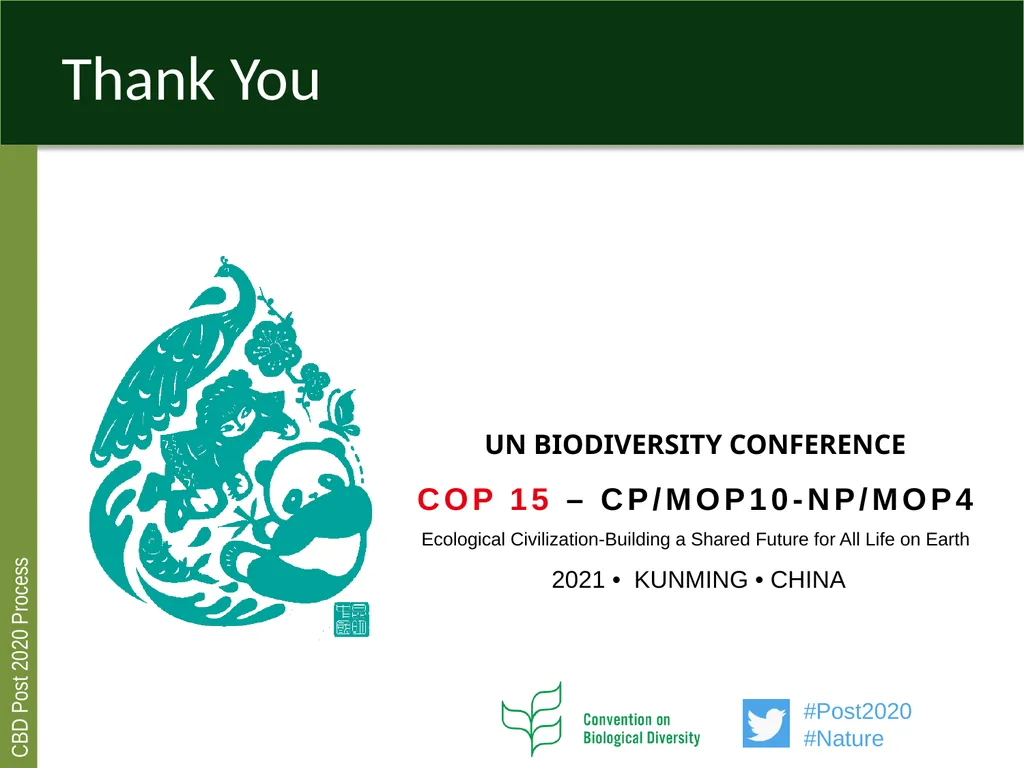 Post 2020 global biodiversity framework process - slide 8 of 8