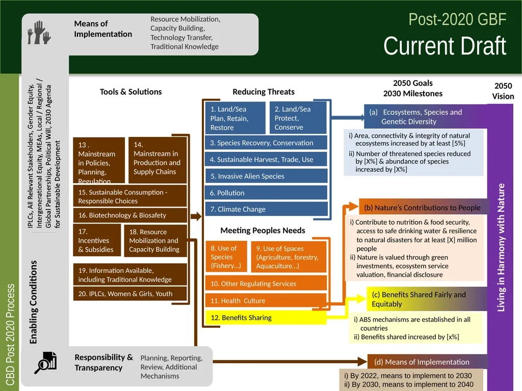 Post 2020 global biodiversity framework process - slide 6 of 8