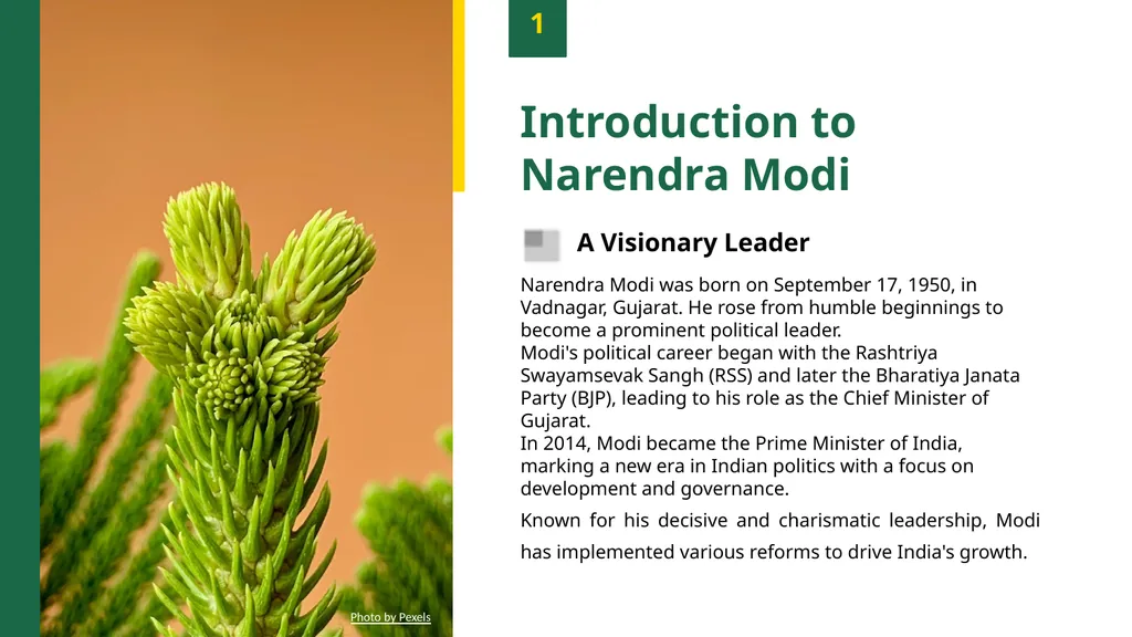 Narendra Modi: Architect of India's Growth - slide 3 of 14