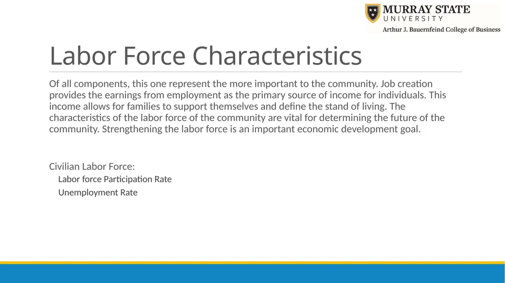 Components of an Economic Profile Presenter: Chris - slide 13 of 37