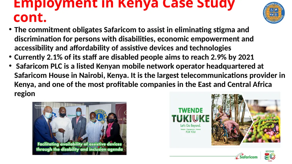 CDPF On-line Disability Equality Capacity Building - slide 19 of 28