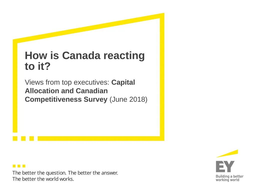 Hot topics in tax Financial Executives - slide 12 of 21