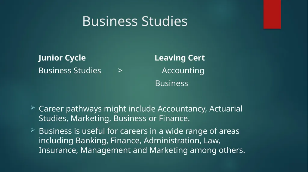 1ST YEAR SUBJECT CHOICE 2024/25 CORE JUNIOR CYCLE - slide 11 of 22
