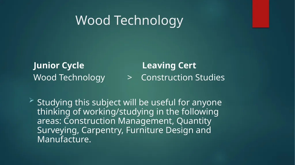 1ST YEAR SUBJECT CHOICE 2024/25 CORE JUNIOR CYCLE - slide 15 of 22