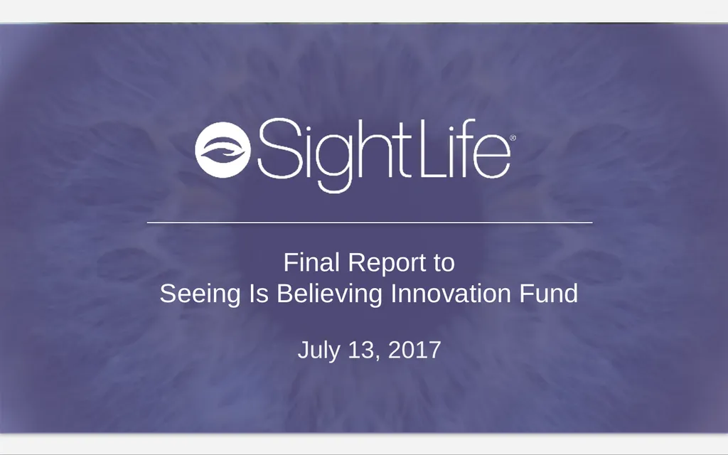 Final Report to Seeing Is Believing Innovation