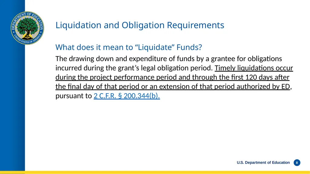 WEBINAR Late Liquidation Requests and Grant - slide 8 of 19