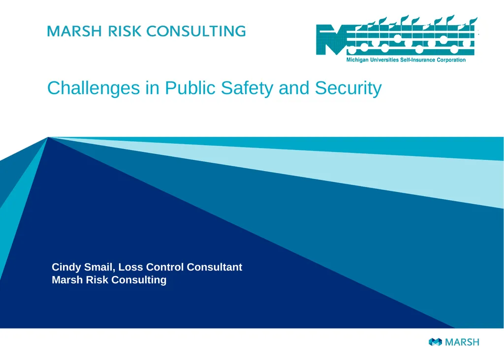Challenges in Public Safety and Security Cindy - slide 1 of 24