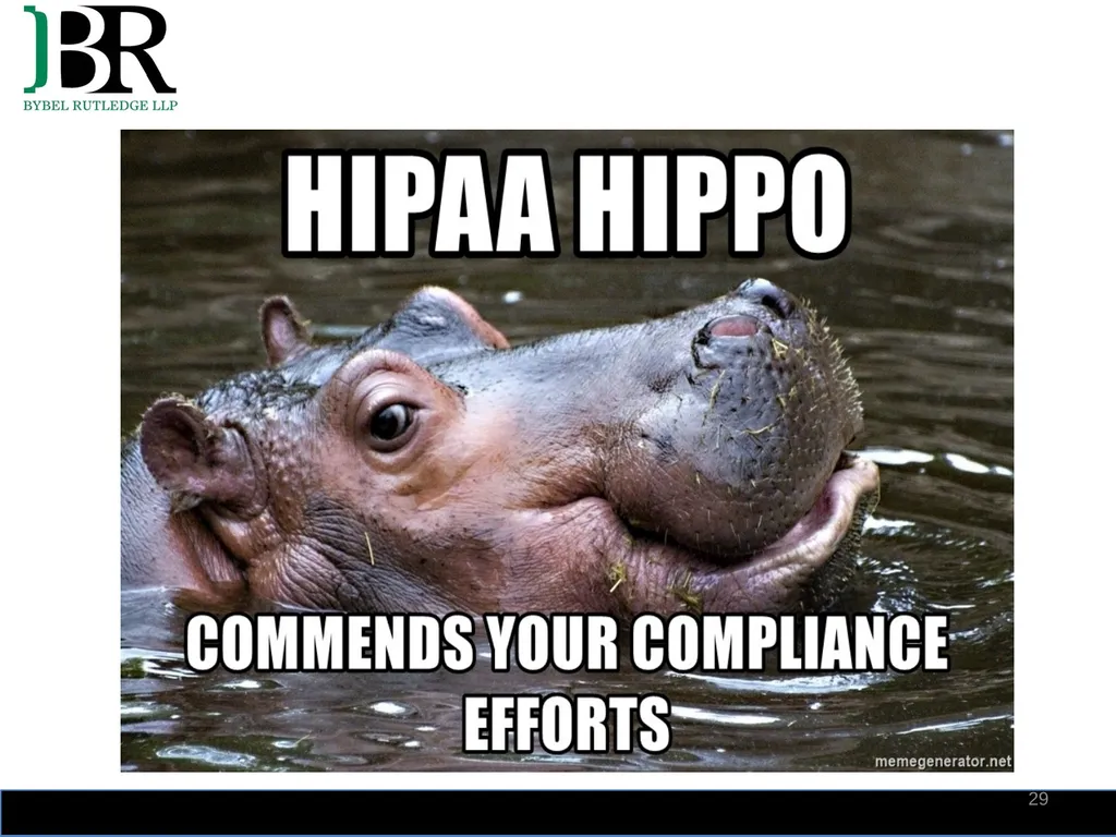 HIPAA Privacy and Security Summit 2018 HIPAA - slide 29 of 30