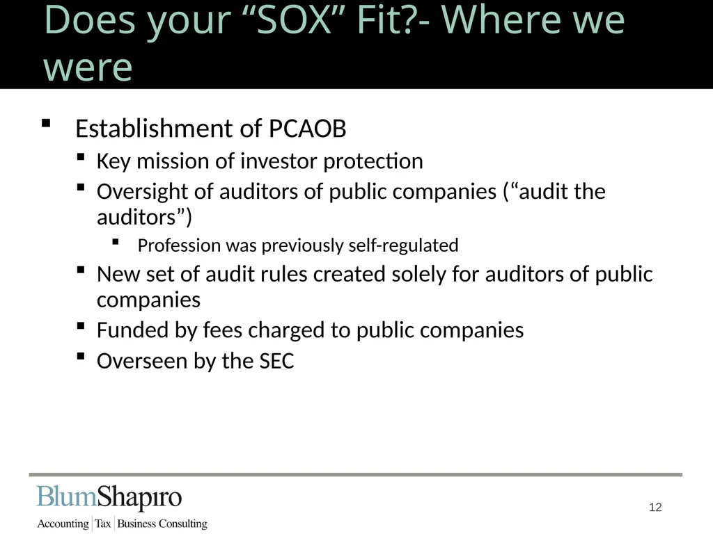 Does your “SOX” Fit? Jonathan Fink, CPA, Partner 1 - slide 12 of 34