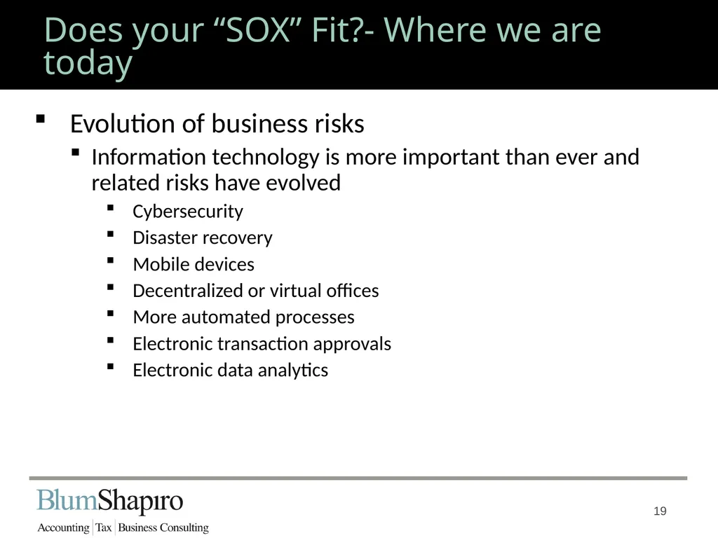 Does your “SOX” Fit? Jonathan Fink, CPA, Partner 1 - slide 19 of 34