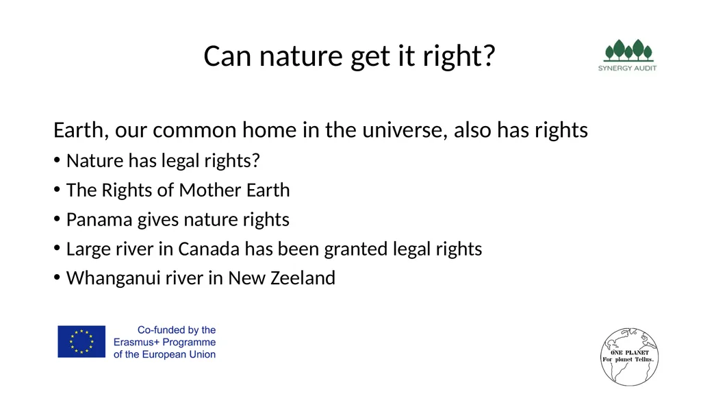 Synergy Audit Online Education Learning, teaching - slide 29 of 146