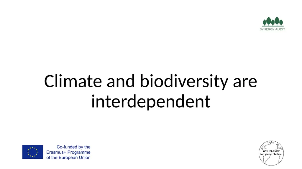 Synergy Audit Online Education Learning, teaching - slide 23 of 146