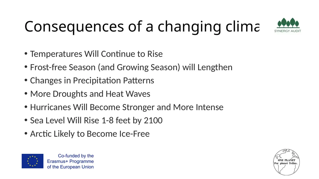 Synergy Audit Online Education Learning, teaching - slide 9 of 146