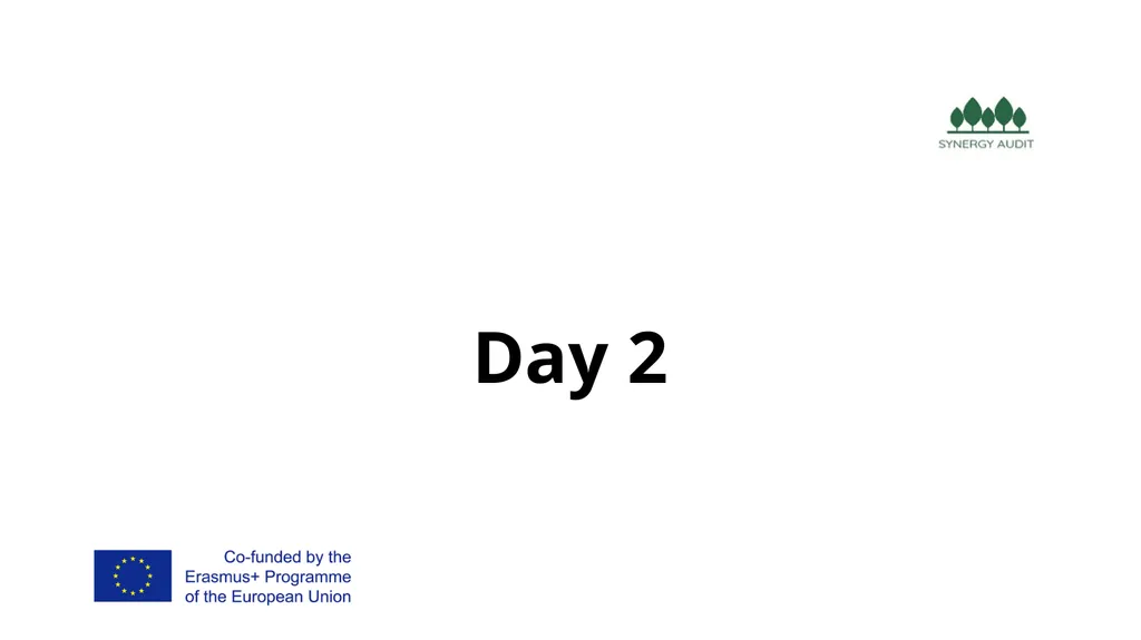 Synergy Audit Online Education Learning, teaching - slide 41 of 146