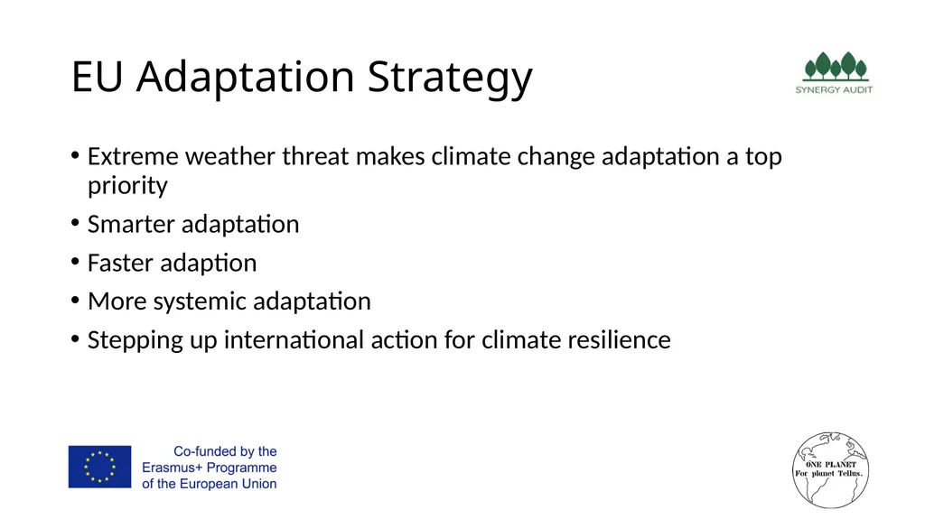 Synergy Audit Online Education Learning, teaching - slide 14 of 146