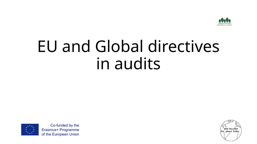 Synergy Audit Online Education Learning, teaching - slide 101 of 146
