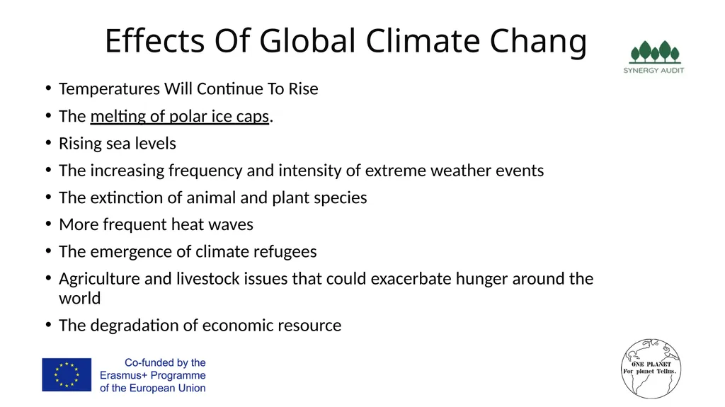 Synergy Audit Online Education Learning, teaching - slide 8 of 146