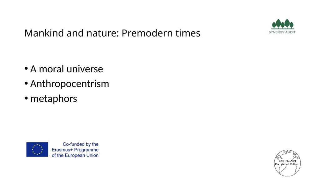 Synergy Audit Online Education Learning, teaching - slide 32 of 146
