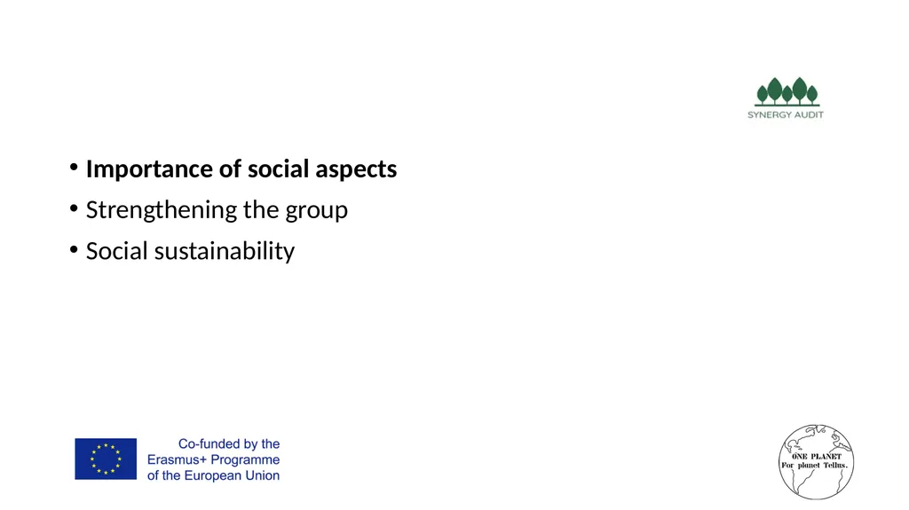 Synergy Audit Online Education Learning, teaching - slide 84 of 146