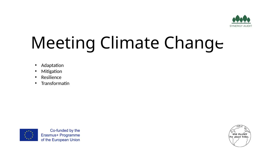 Synergy Audit Online Education Learning, teaching - slide 13 of 146