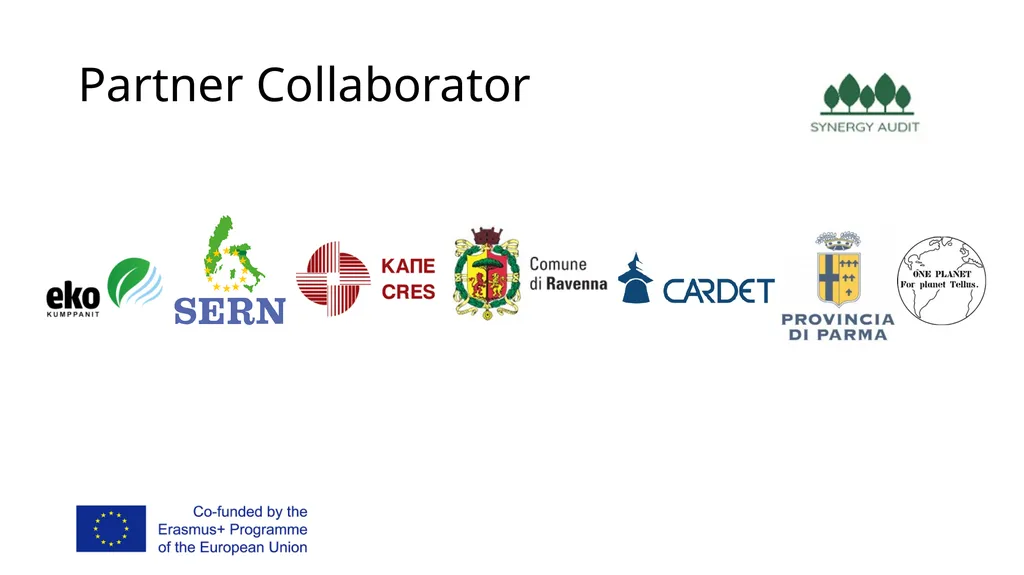 Synergy Audit Online Education Learning, teaching - slide 3 of 146
