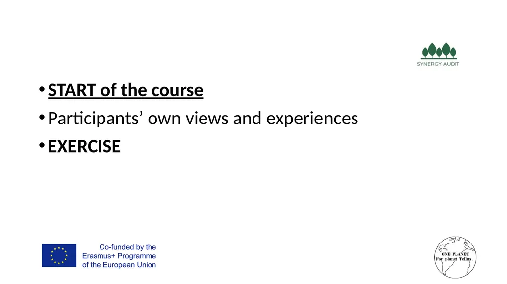 Synergy Audit Online Education Learning, teaching - slide 79 of 146