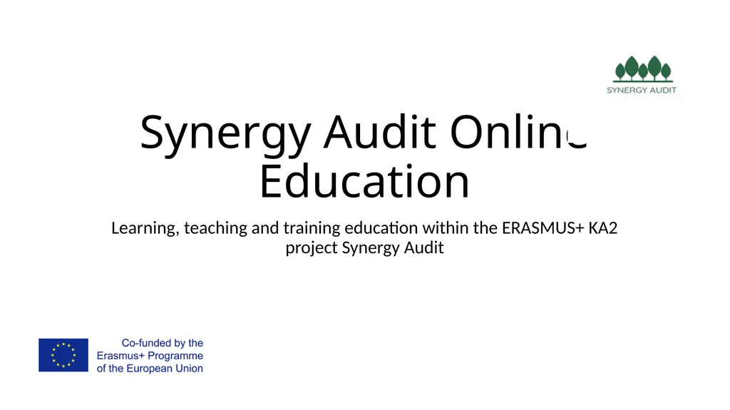 Synergy Audit Online Education Learning, teaching - slide 1 of 146