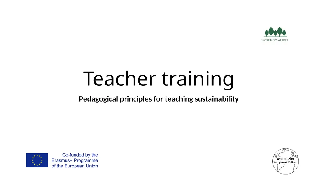 Synergy Audit Online Education Learning, teaching - slide 77 of 146