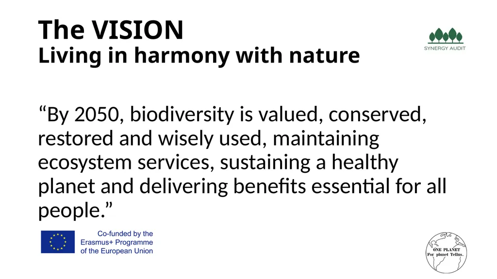 Synergy Audit Online Education Learning, teaching - slide 28 of 146