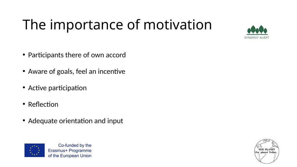 Synergy Audit Online Education Learning, teaching - slide 78 of 146