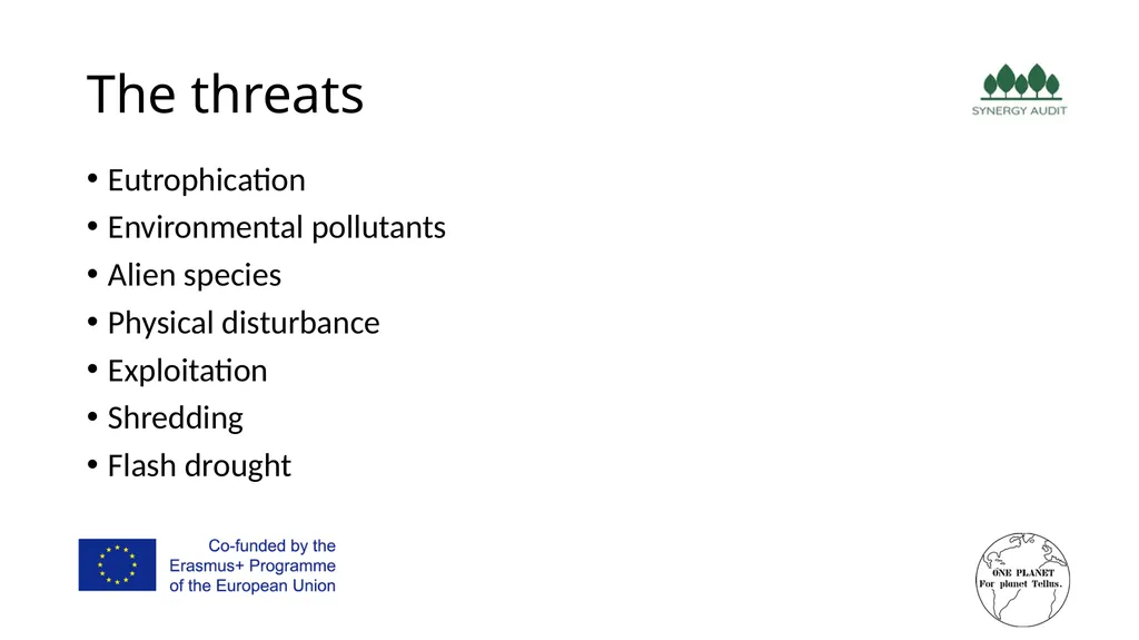 Synergy Audit Online Education Learning, teaching - slide 20 of 146