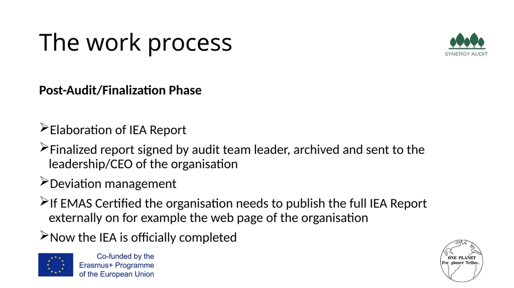 Synergy Audit Online Education Learning, teaching - slide 67 of 146