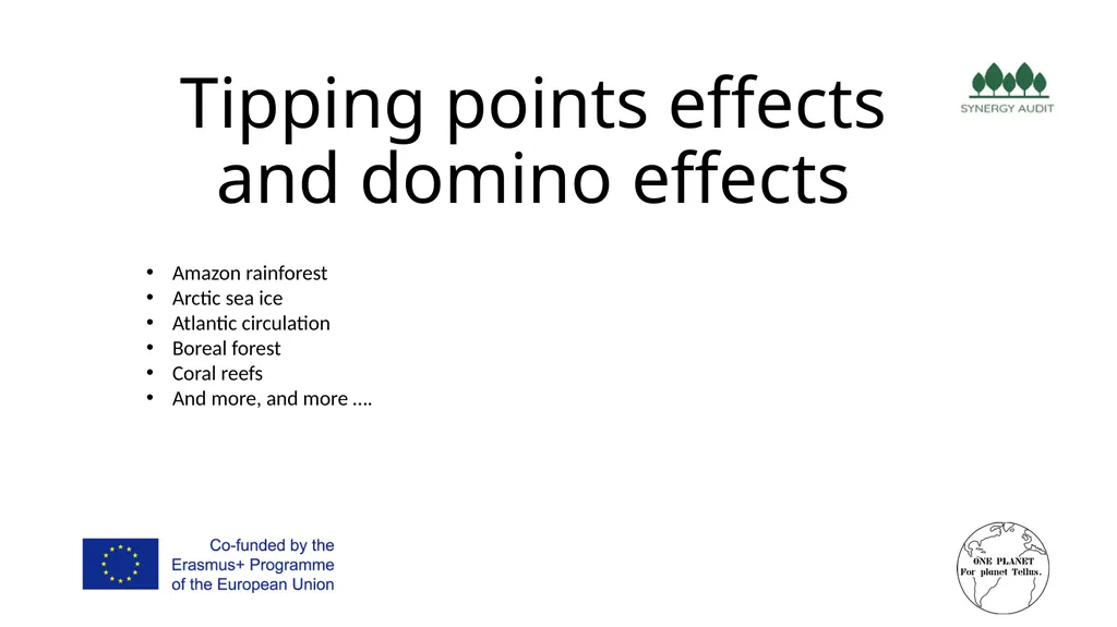 Synergy Audit Online Education Learning, teaching - slide 12 of 146