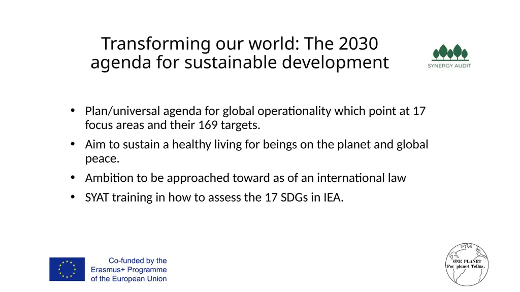 Synergy Audit Online Education Learning, teaching - slide 105 of 146