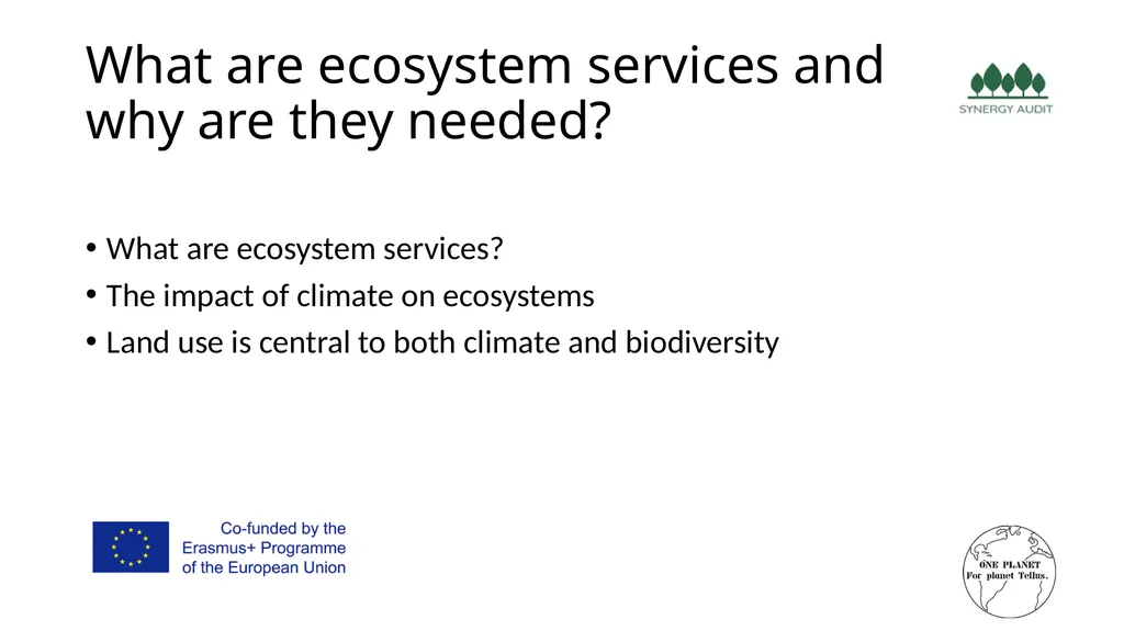 Synergy Audit Online Education Learning, teaching - slide 26 of 146