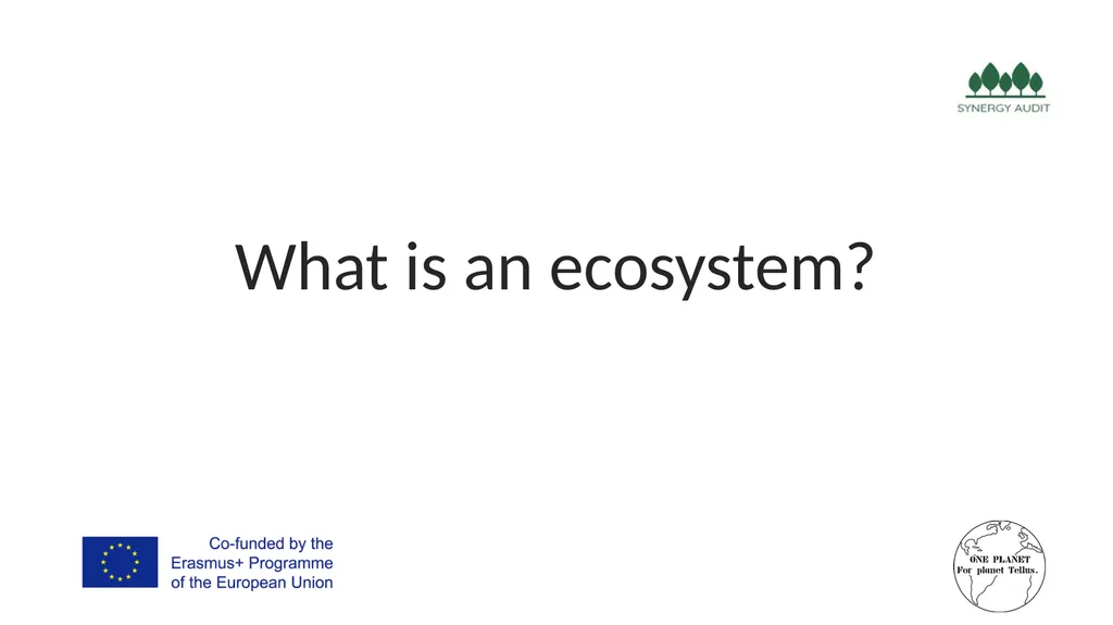 Synergy Audit Online Education Learning, teaching - slide 25 of 146