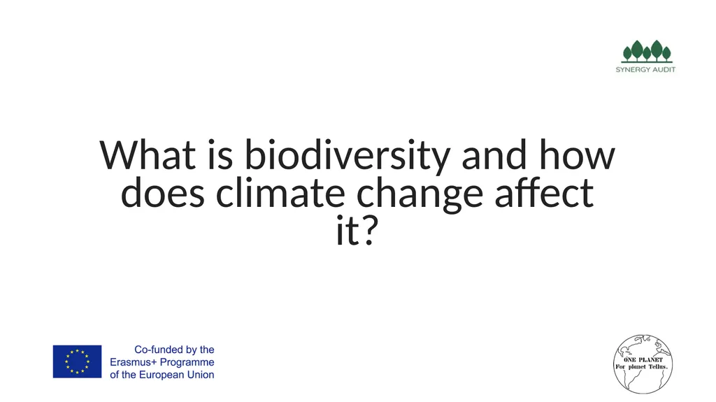 Synergy Audit Online Education Learning, teaching - slide 24 of 146