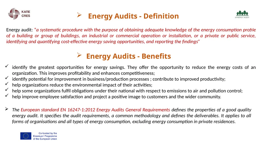 Synergy Audit Online Education Learning, teaching - slide 114 of 146