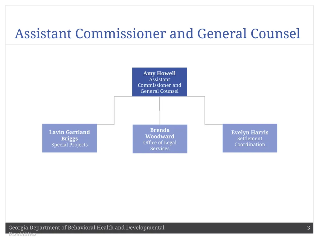 DBHDD Commissioner Judy Fitzgerald Commissioner - slide 3 of 9