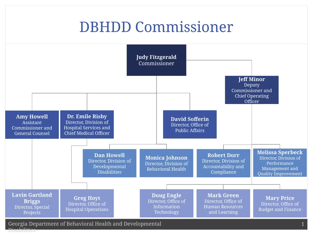 DBHDD Commissioner Judy Fitzgerald Commissioner - slide 1 of 9