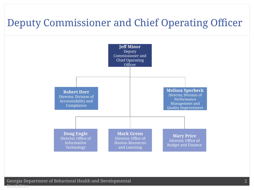 DBHDD Commissioner Judy Fitzgerald Commissioner - slide 2 of 9
