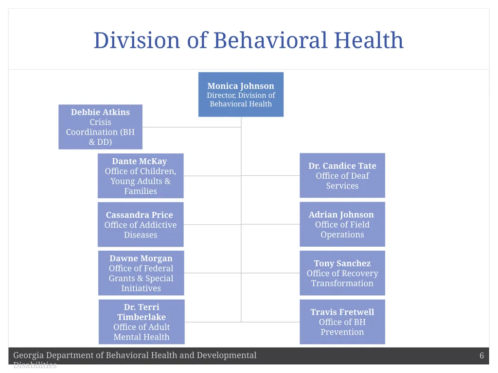 DBHDD Commissioner Judy Fitzgerald Commissioner - slide 6 of 9