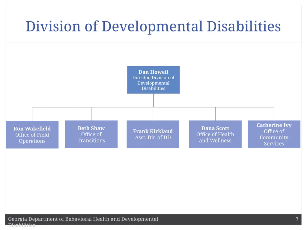 DBHDD Commissioner Judy Fitzgerald Commissioner - slide 7 of 9